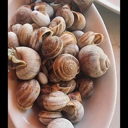 بيتالمو سيتي *